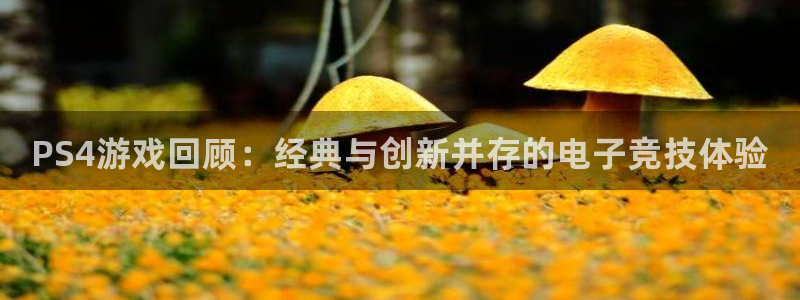 奇亿娱乐网页登录入口下载：PS4游戏回顾：经典与创新并存的电