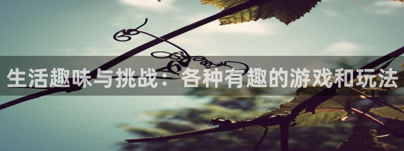 奇亿娱乐怎么注册：生活趣味与挑战：各种有趣的游戏和玩法