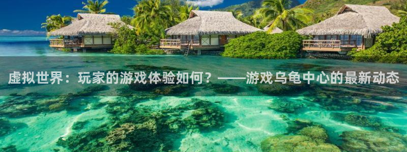 奇亿娱乐4招商：虚拟世界：玩家的游戏体验如何？——游戏乌龟中