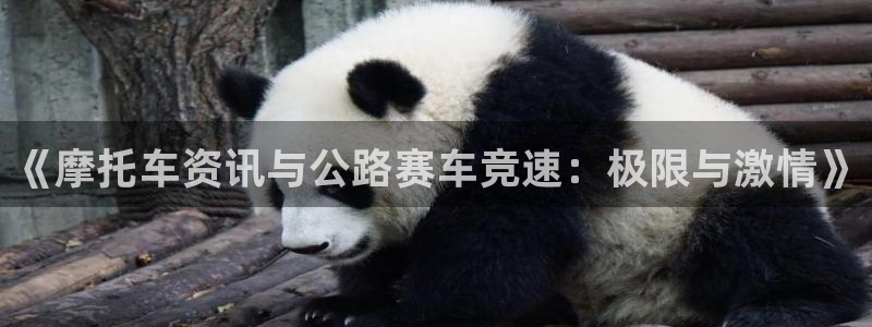 奇亿娱乐平台登录：《摩托车资讯与公路赛车竞速：极限与激情》